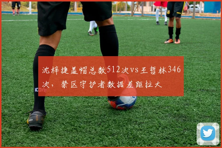 沈梓捷盖帽总数512次vs王哲林346次，禁区守护者数据差距拉大